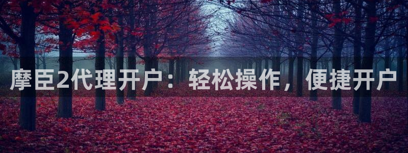 星耀国际官网入口：摩臣2代理开户：轻松操作，便捷开户