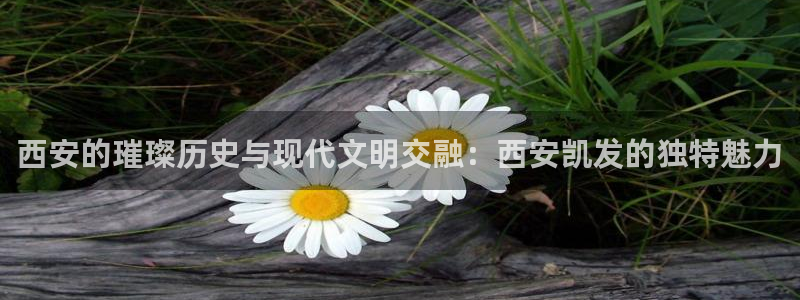 星耀国际路线1：西安的璀璨历史与现代文明交融：西安凯发的独特魅力
