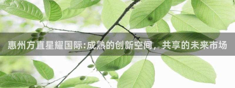 星耀国际集团：惠州方直星耀国际:成熟的创新空间，共享的未来市场