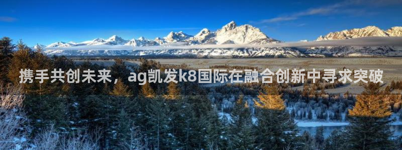 星耀国际下载：携手共创未来，ag凯发k8国际在融合创新中寻求突破