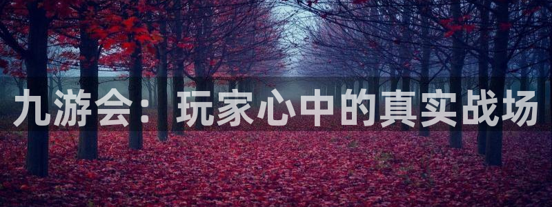 pg星耀国际平台下载入口：九游会：玩家心中的真实战场