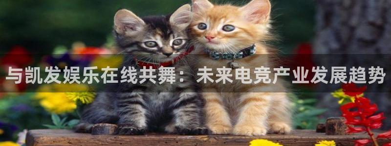 星耀国际体育app下载：与凯发娱乐在线共舞：未来电竞产业发展趋势