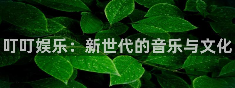 星耀国际游戏官网版：叮叮娱乐：新世代的音乐与文化