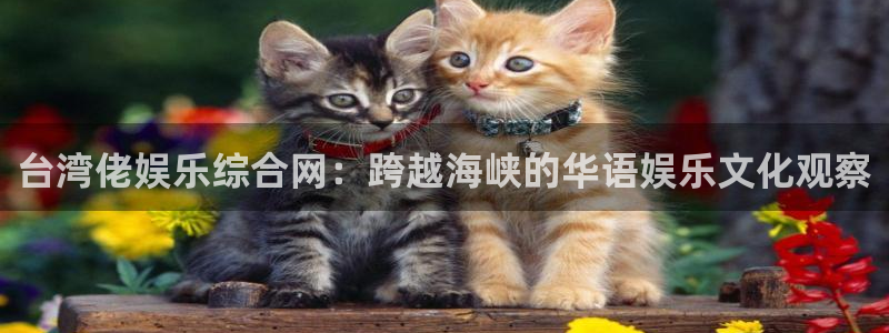 星耀国际是真的吗：台湾佬娱乐综合网：跨越海峡的华语娱乐文化观察