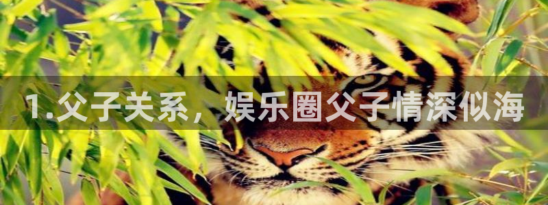 星耀国际股份：1.父子关系，娱乐圈父子情深似海