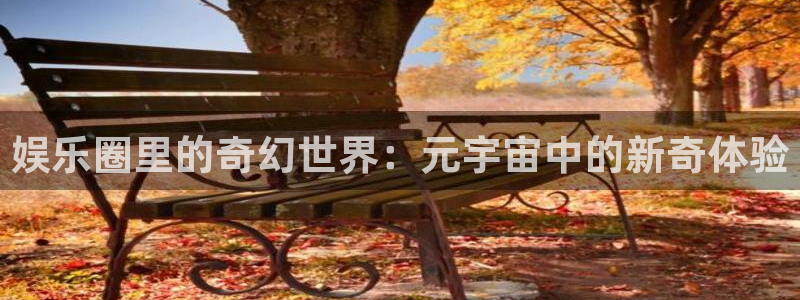 星耀国际app下载：娱乐圈里的奇幻世界：元宇宙中的新奇体验