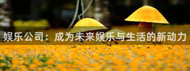 星耀国际平台官方入口：娱乐公司：成为未来娱乐与生活的新动力