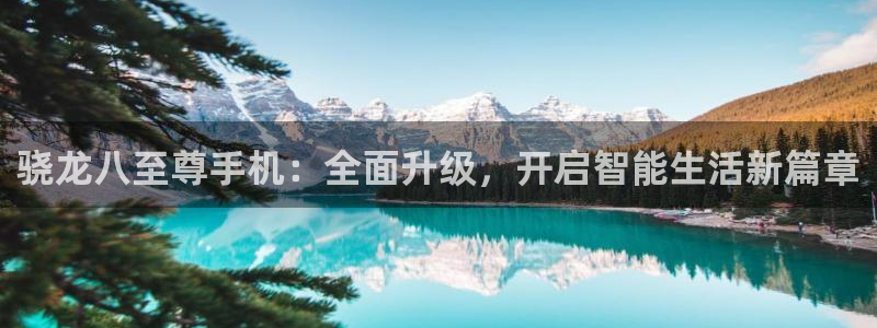 星耀国际加拿大官网：骁龙八至尊手机：全面升级，开启智能生活新篇章