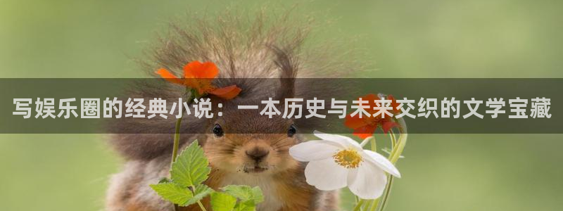 星耀国际平台：写娱乐圈的经典小说：一本历史与未来交织的文学宝藏