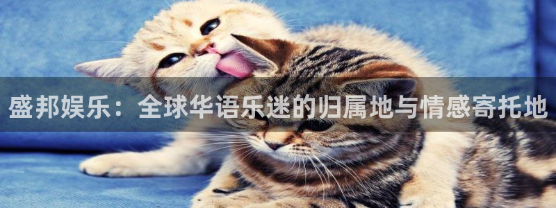 星耀国际4登录：盛邦娱乐：全球华语乐迷的归属地与情感寄托地