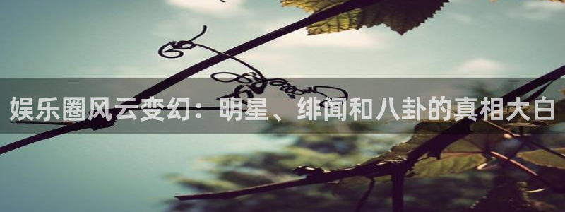 德国星耀国际集团：娱乐圈风云变幻：明星、绯闻和八卦的真相大白