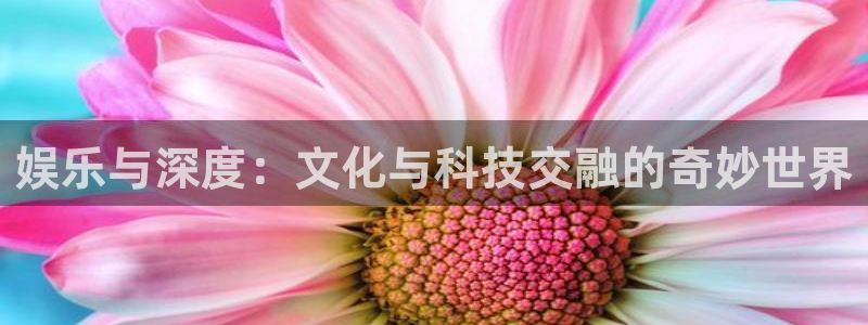 星耀国际注册网页版：娱乐与深度：文化与科技交融的奇妙世界