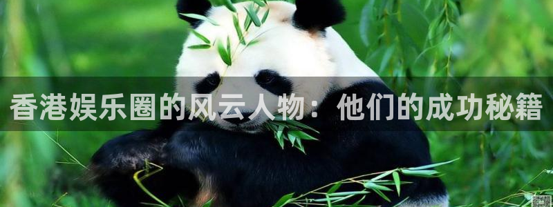 星耀国际麻将胡了：香港娱乐圈的风云人物：他们的成功秘籍