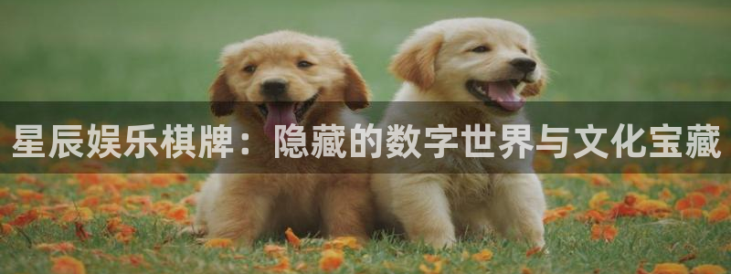 星耀国际平台开户链接：星辰娱乐棋牌：隐藏的数字世界与文化宝藏