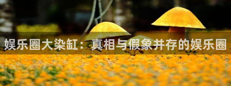 星耀国际ccm麻将胡了：娱乐圈大染缸：真相与假象并存的娱乐圈