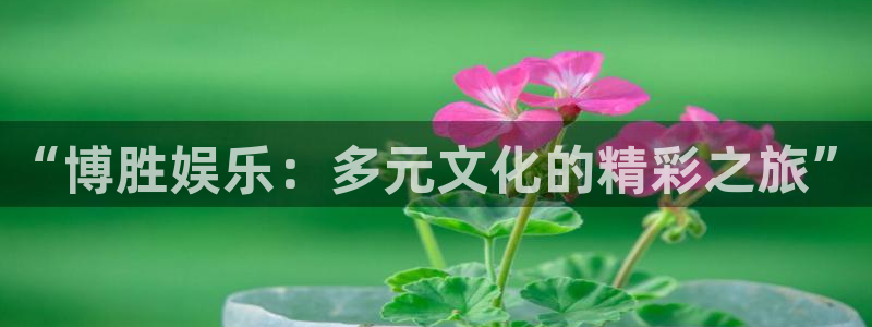 星耀国际登陆：“博胜娱乐：多元文化的精彩之旅”