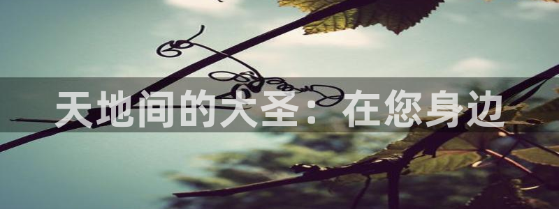 星耀国际预测pc在线预测网址：天地间的大圣：在您身边