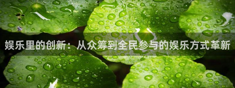 星耀国际预测在线预测：娱乐里的创新：从众筹到全民参与的娱乐方式革新