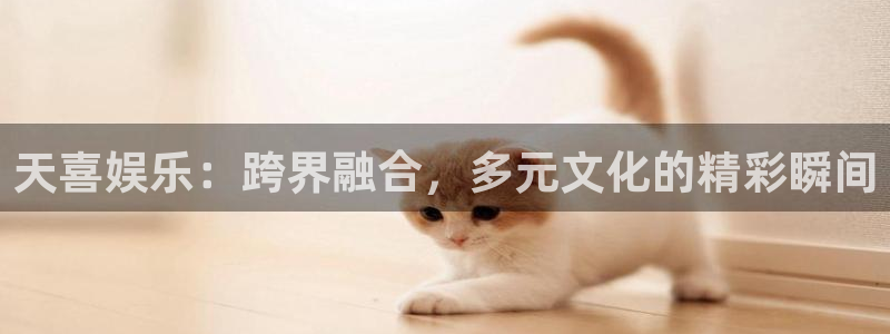 星耀国际app下载：天喜娱乐：跨界融合，多元文化的精彩瞬间