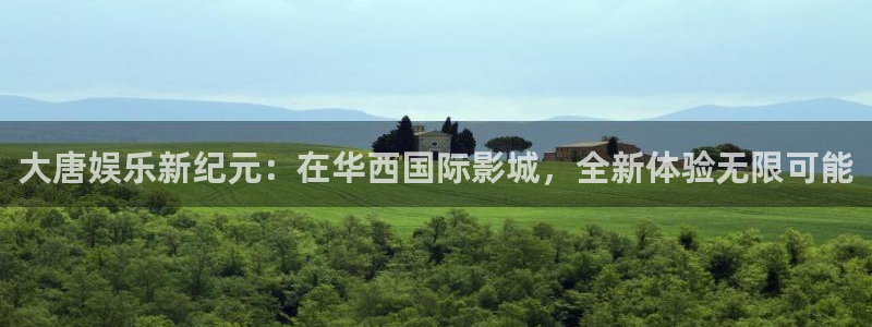 星耀国际下载链接是多少