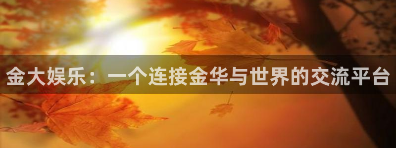 星耀国际体育免费注册入口：金大娱乐：一个连接金华与世界的交流平台