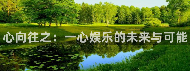 星耀国际体育和杏耀是哪个公司的：心向往之：一心娱乐的未来与可能