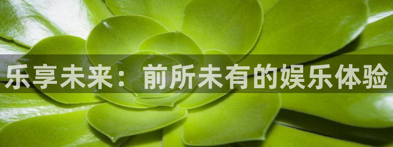 星耀国际平台在线开户：乐享未来：前所未有的娱乐体验