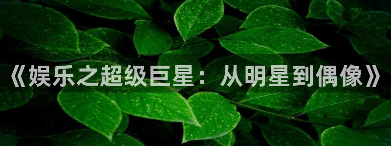 星耀国际网站：《娱乐之超级巨星：从明星到偶像》