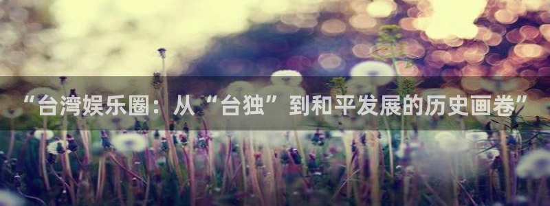 星耀国际平台招商：“台湾娱乐圈：从“台独”到和平发展的历史画卷”