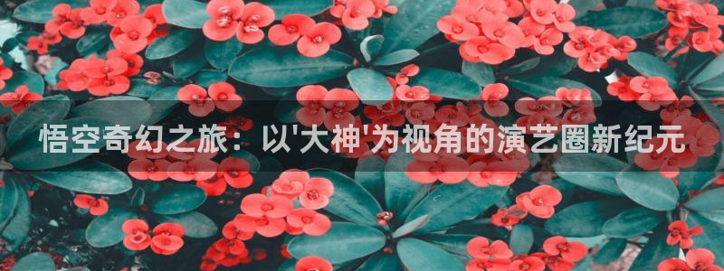 星耀国际官网入口：悟空奇幻之旅：以\'大神\'为视角的演艺圈新纪元
