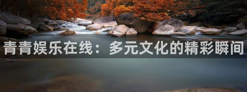 星耀国际2登录地址：青青娱乐在线：多元文化的精彩瞬间