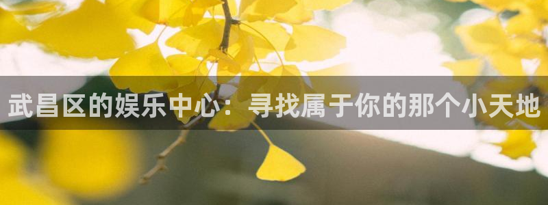 星耀国际下载官网入口在哪：武昌区的娱乐中心：寻找属于你的那个小天地