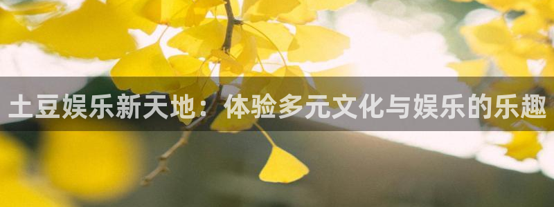 星耀国际平台官网版下载：土豆娱乐新天地：体验多元文化与娱乐的乐趣