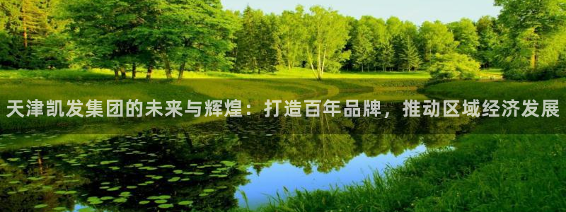 星耀国际现在优惠多少：天津凯发集团的未来与辉煌：打造百年品牌，推动区域经济发展