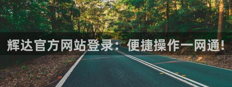 星耀国际2代理注册：辉达官方网站登录：便捷操作一网通!