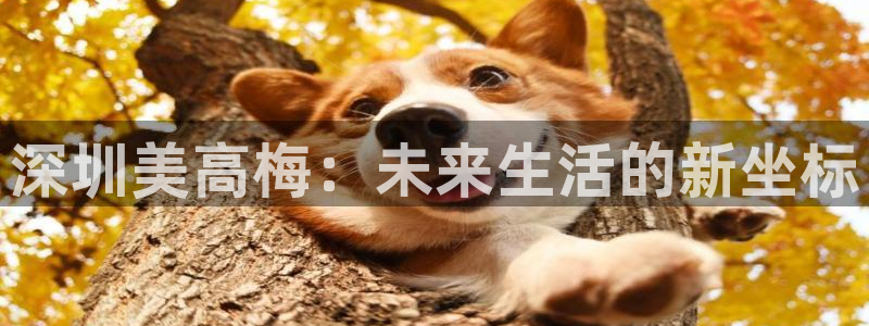星耀国际quan28.cc：深圳美高梅：未来生活的新坐标