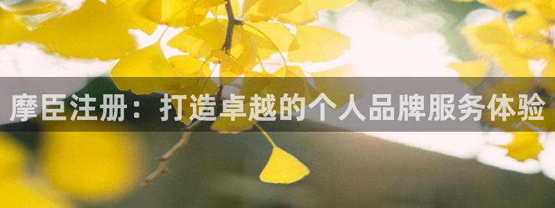 星耀国际登录：摩臣注册：打造卓越的个人品牌服务体验