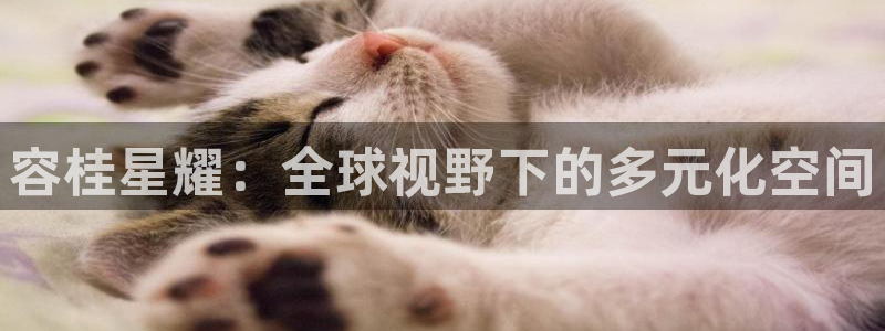 星耀国际有梦你就来：容桂星耀：全球视野下的多元化空间