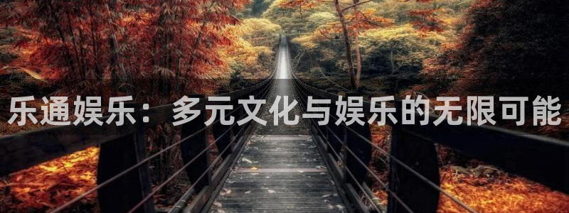 星耀国际登录：乐通娱乐：多元文化与娱乐的无限可能