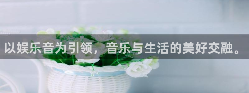 星耀国际.com：以娱乐音为引领，音乐与生活的美好交融。