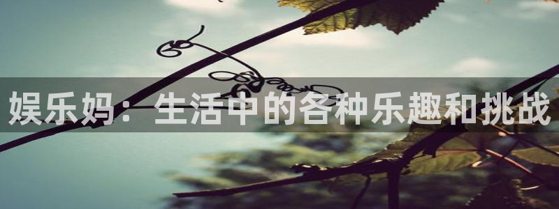 星耀国际体育代理申请流程：娱乐妈：生活中的各种乐趣和挑战