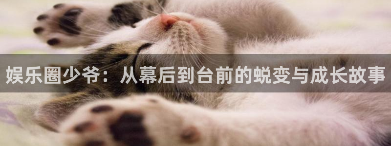 星耀国际注册网站链接：娱乐圈少爷：从幕后到台前的蜕变与成长故事
