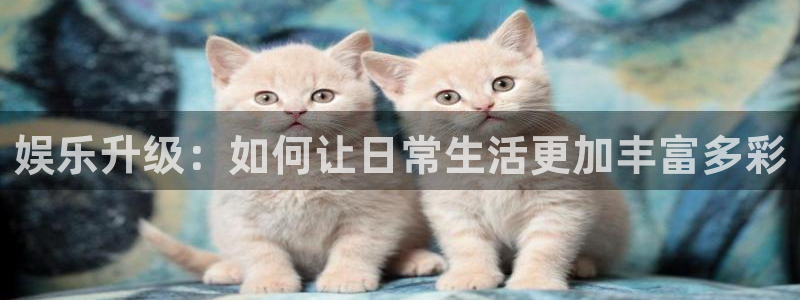 星耀国际集团官网：娱乐升级：如何让日常生活更加丰富多彩