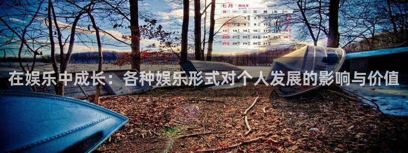 星耀国际体育代理：在娱乐中成长：各种娱乐形式对个人发展的影响与价值