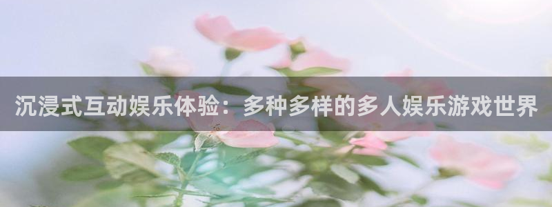 星耀国际平台官网版最新：沉浸式互动娱乐体验：多种多样的多人娱乐游戏世界