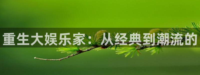 星耀国际体育3：重生大娱乐家：从经典到潮流的