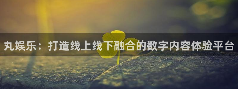 星耀国际集团：丸娱乐：打造线上线下融合的数字内容体验平台