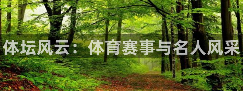 星耀国际游戏官网入口：体坛风云：体育赛事与名人风采